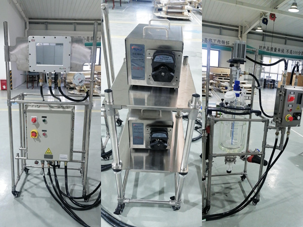 Custom Explosion-Proof Reactor System for Exothermic Reactions for a Singapore Customer